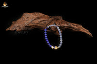 SereneBlueFishJewel